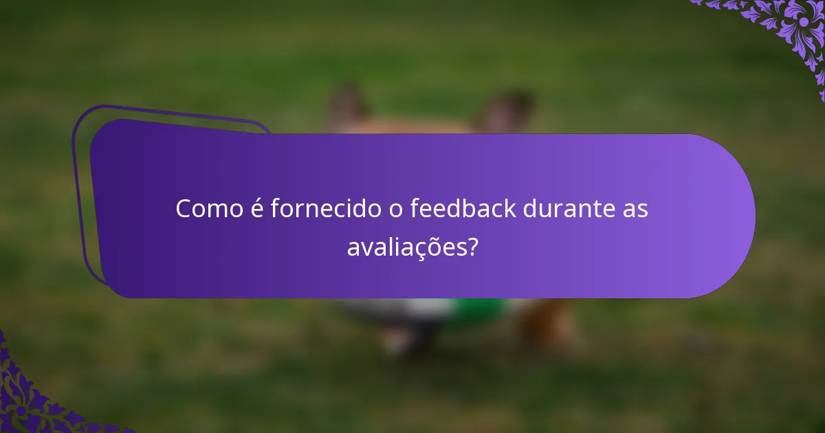 Como é fornecido o feedback durante as avaliações?
